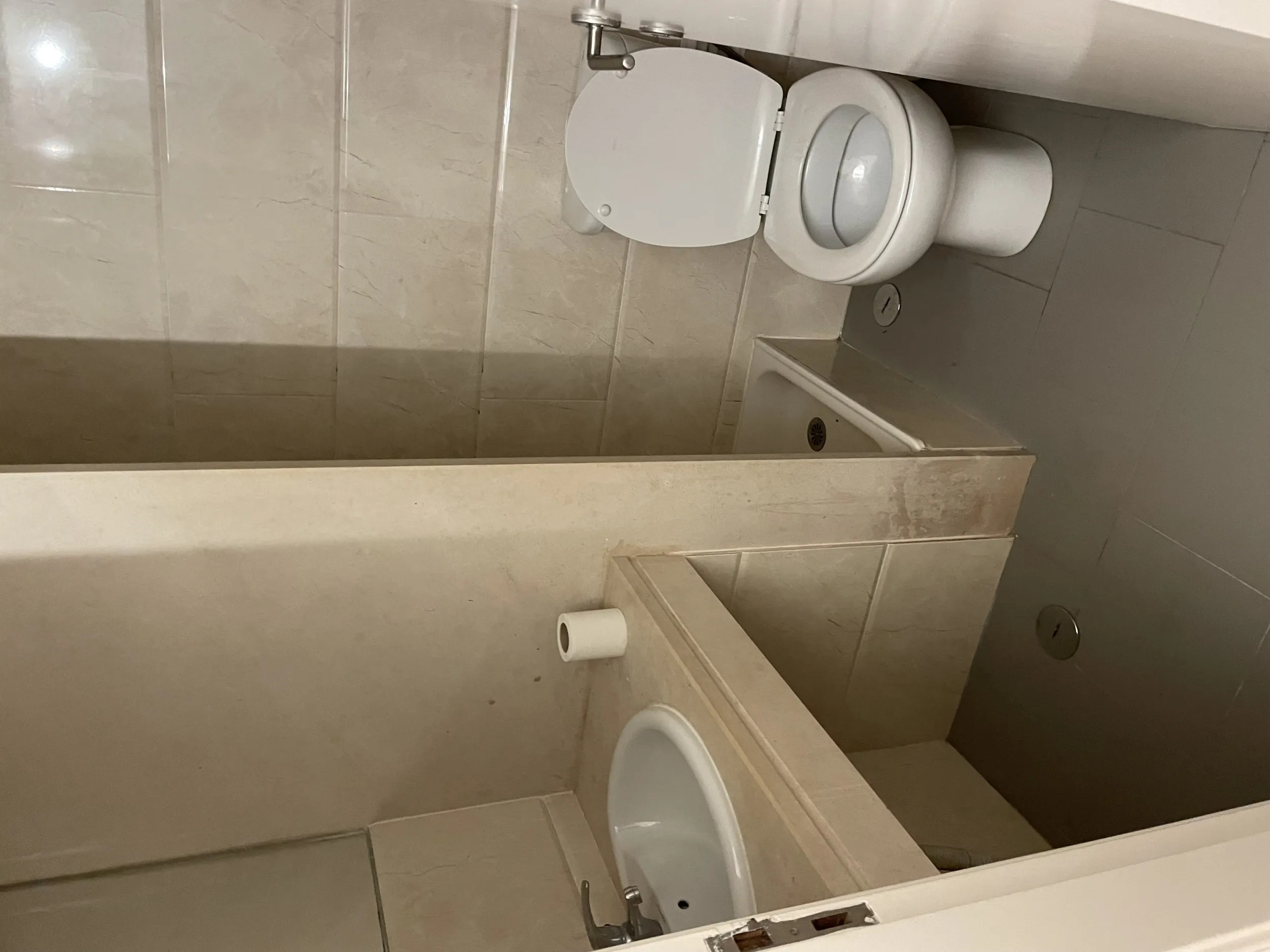 Rosa before &mdash; original bathroom, dated tile
