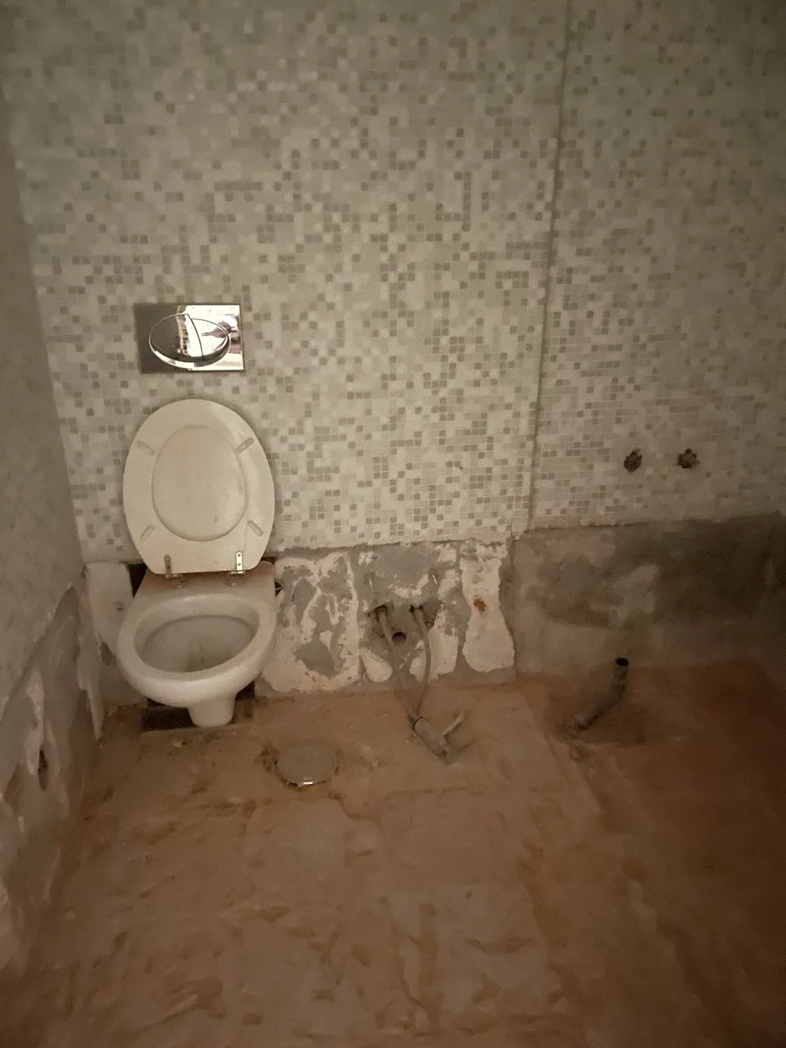 Belle Rivi&egrave;re before &mdash; original bathroom, gutted